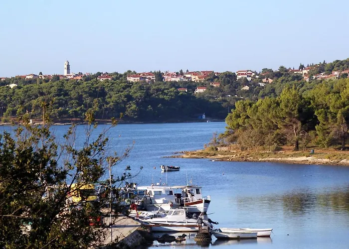 펜션 House With A Parking Space Premantura, Medulin - 7323 *